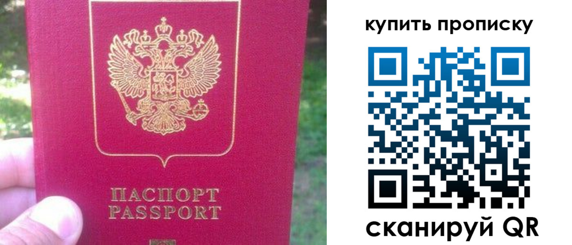временная регистрация для школы в Мончегорске